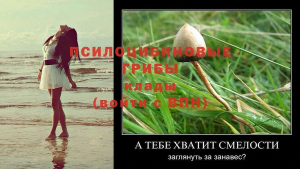 дурь Абдулино