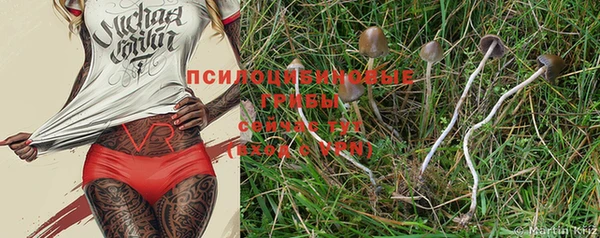 дурь Абдулино