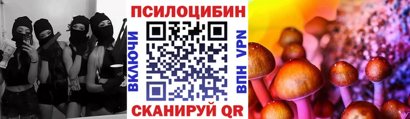 Галлюциногенные грибы GOLDEN TEACHER  Кохма 