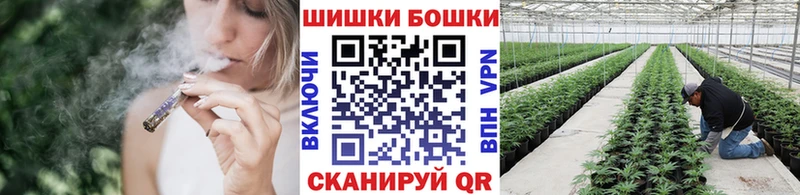 Бошки Шишки AK-47  где купить   Кохма 